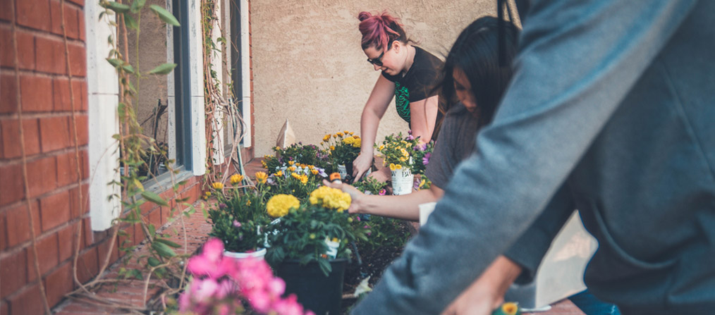 Mujeres plantando flores en un huerto urbano
