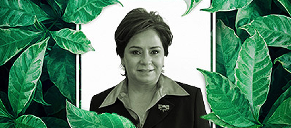 Patricia Espinosa, Secretaria Ejecutiva en la Convención Marco de Naciones Unidas sobre Cambio Climático