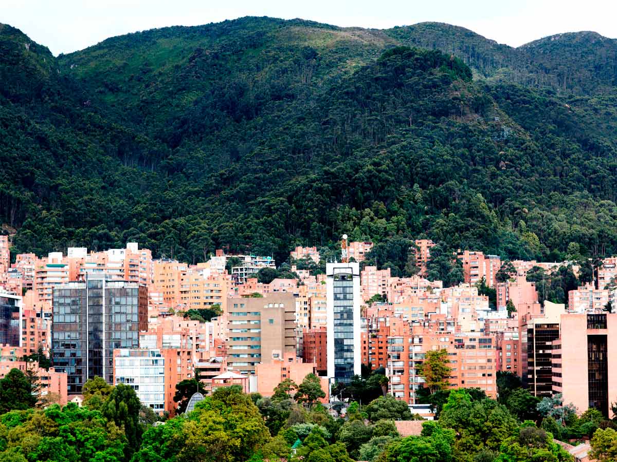 Cover for Bogotá y su revolución verde