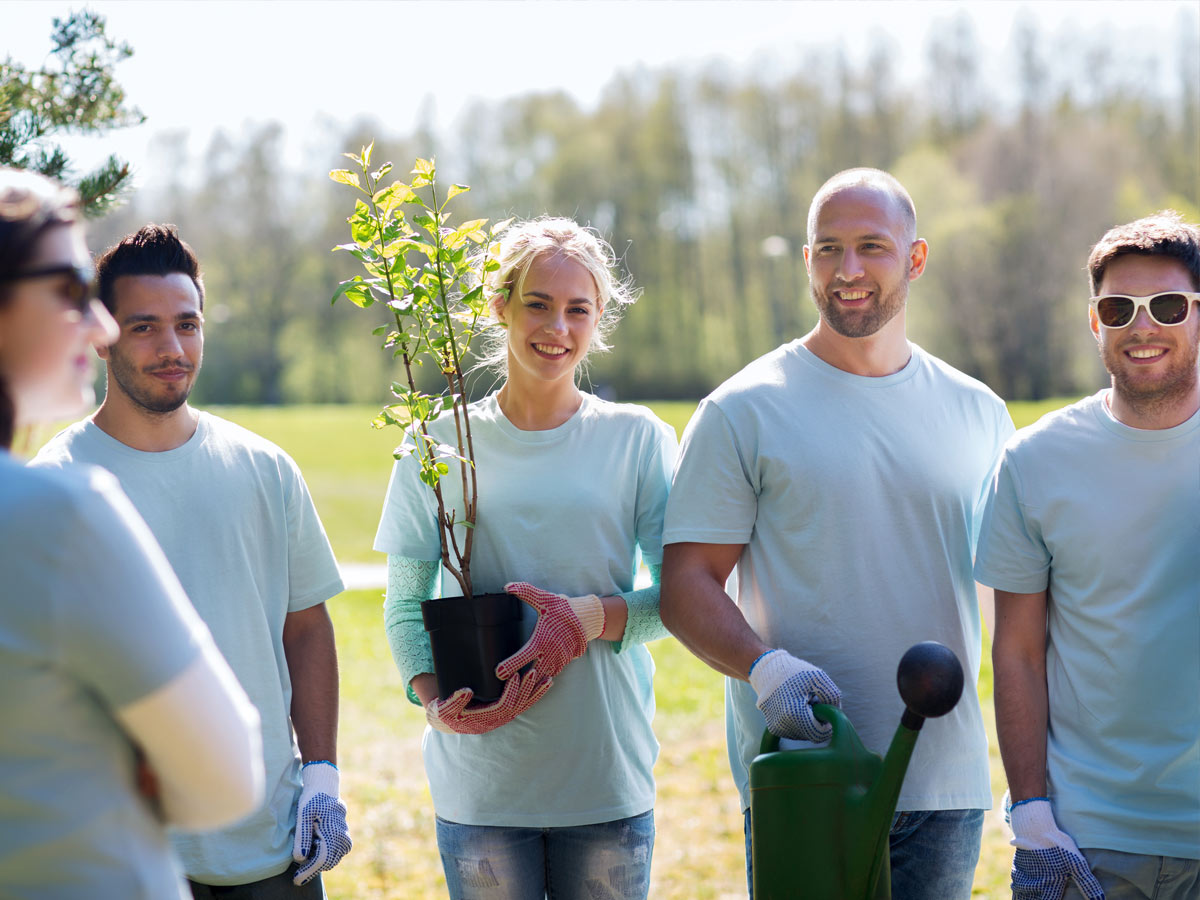 Cover for Voluntariado corporativo ambiental: por qué es bueno para tu empresa
