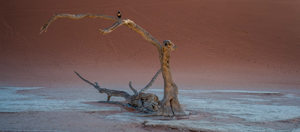Paraje desértico