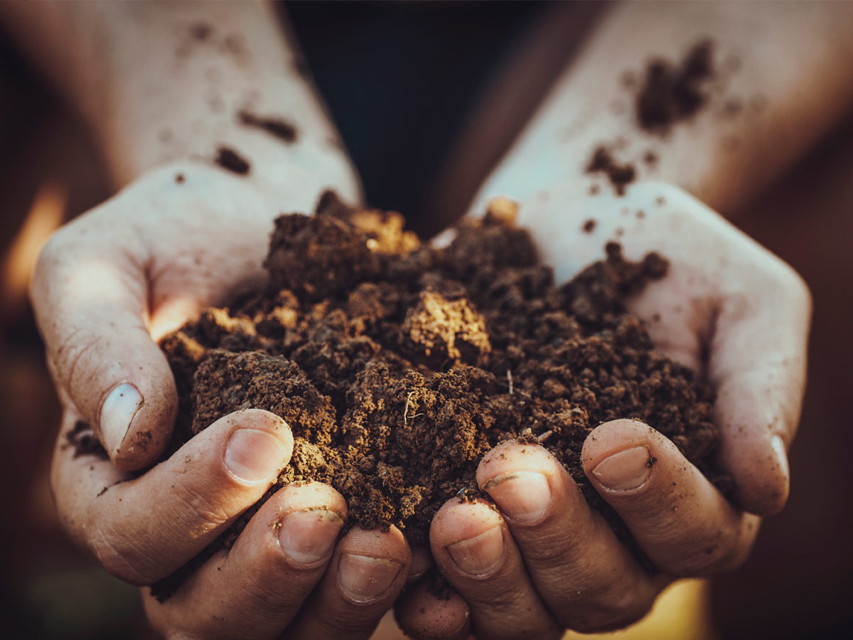 Cómo combatir las emisiones de carbono