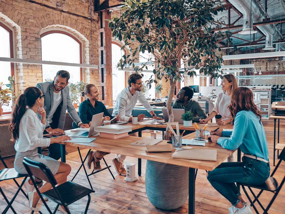 Cinco beneficios de recrear la naturaleza en espacios de trabajo