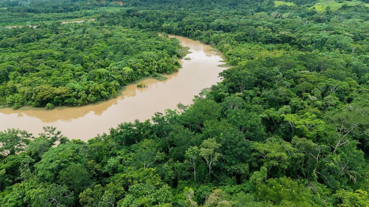 ESG en movimiento: el impacto real de la movilidad para empresas